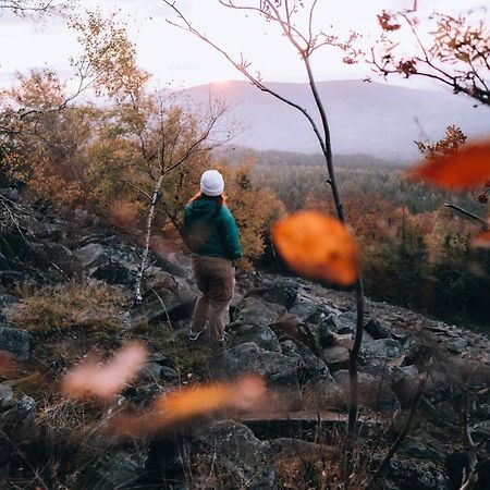 Penzion U Vyhlídky Chřibská Esterno foto